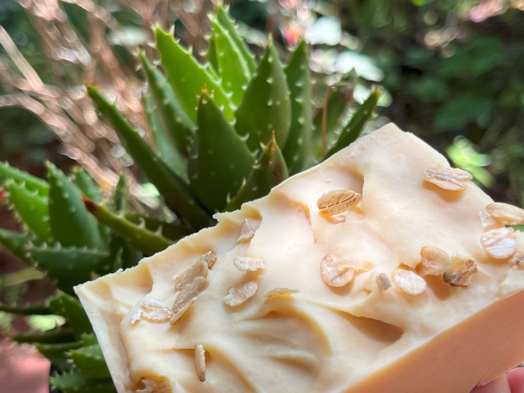 Camel Milk Soap