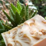 Camel Milk Soap