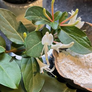 Powder to Foam Shaving Soap